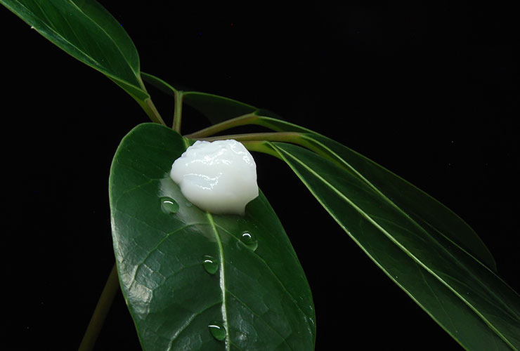 weidmann_fiber_technology_ag